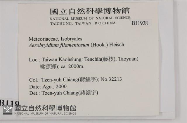 毛扭蘚藏品圖，第2張