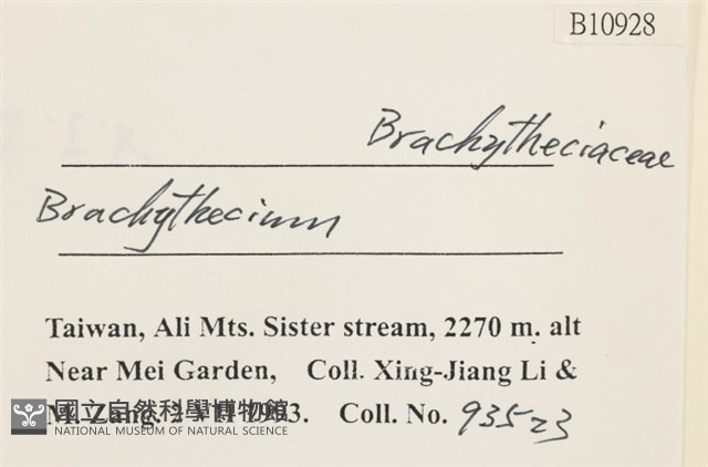 登錄號:B00010928藏品圖，第2張