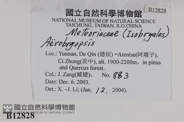 登錄號:B00012828藏品圖，第2張
