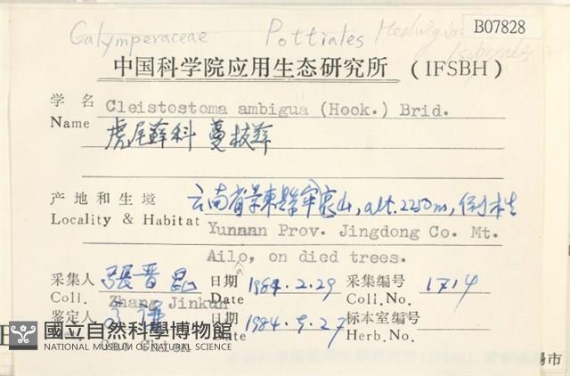 蔓枝蘚藏品圖，第2張