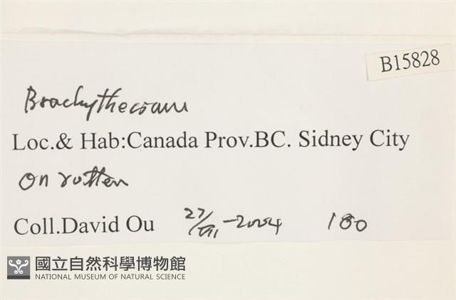 登錄號:B00015828藏品圖，第2張