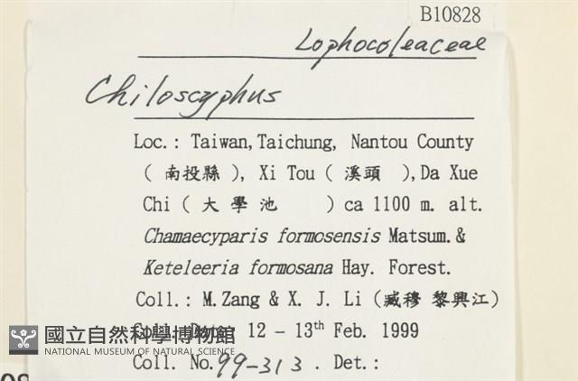 登錄號:B00010828藏品圖，第2張