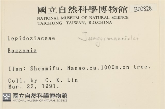 登錄號:B00000828藏品圖，第2張