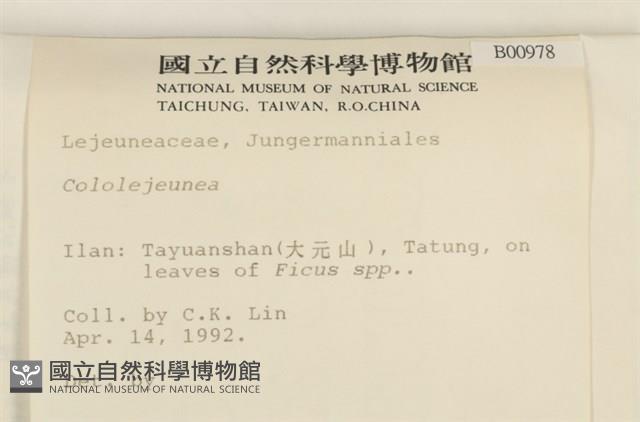 登錄號:B00000978藏品圖，第2張