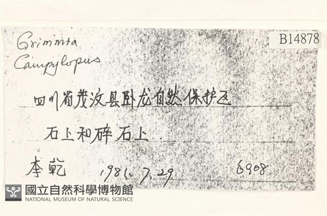 登錄號:B00014878藏品圖，第2張