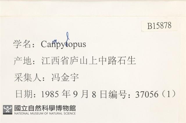 登錄號:B00015878藏品圖，第2張