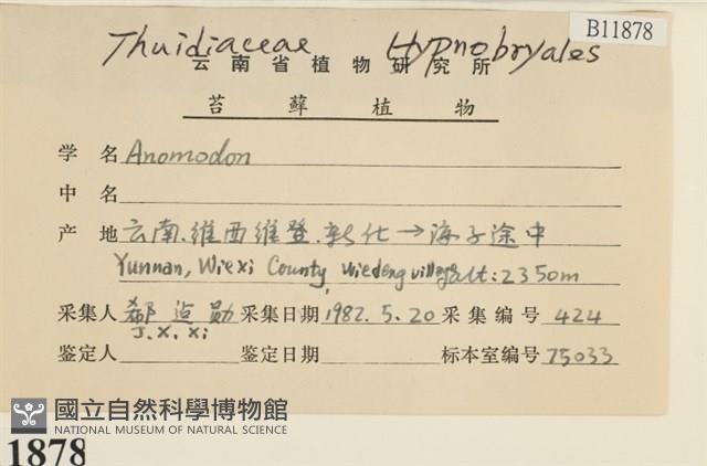 登錄號:B00011878藏品圖，第2張