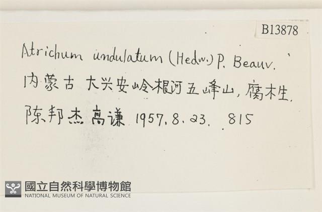 仙鶴蘚藏品圖，第2張