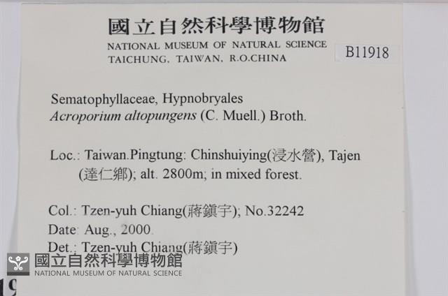 登錄號:B00011918藏品圖，第2張