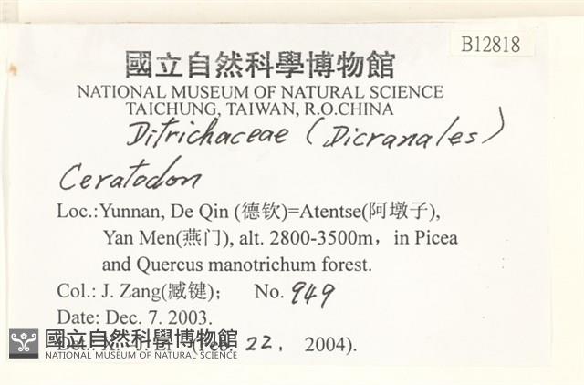 登錄號:B00012818藏品圖，第2張