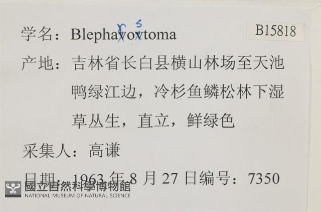登錄號:B00015818藏品圖，第2張