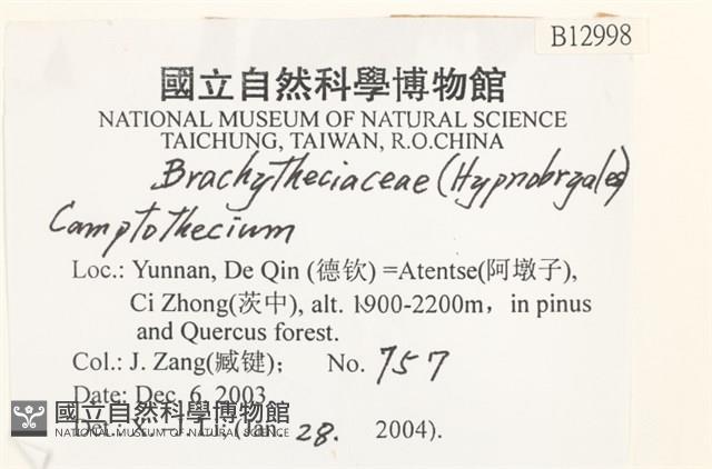 登錄號:B00012998藏品圖，第2張