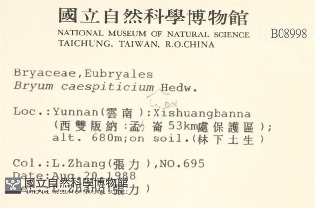 叢生真蘚藏品圖，第2張