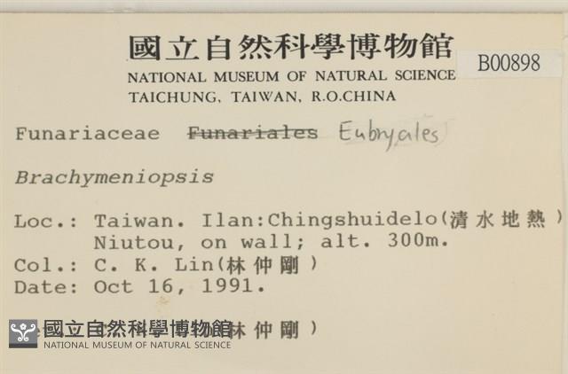 登錄號:B00000898藏品圖，第2張
