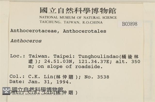 登錄號:B00003898藏品圖，第2張