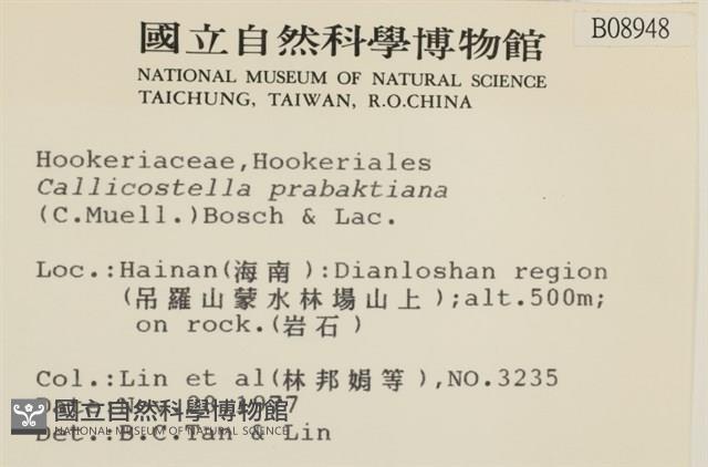 登錄號:B00008948藏品圖，第2張