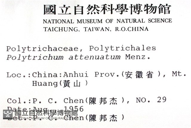 登錄號:B00009948藏品圖，第2張