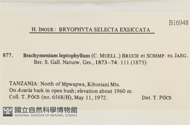 登錄號:B00016948藏品圖，第2張