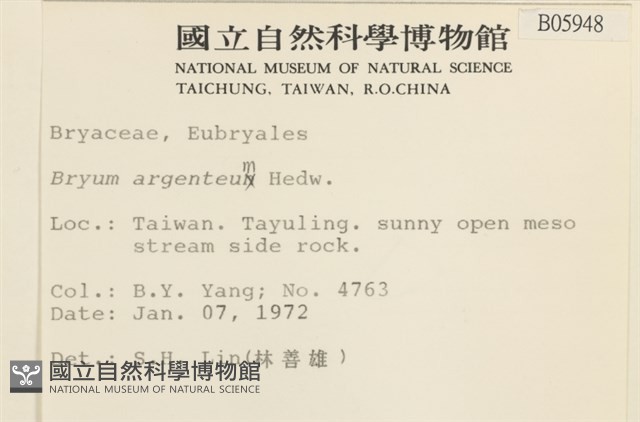 真蘚藏品圖，第2張