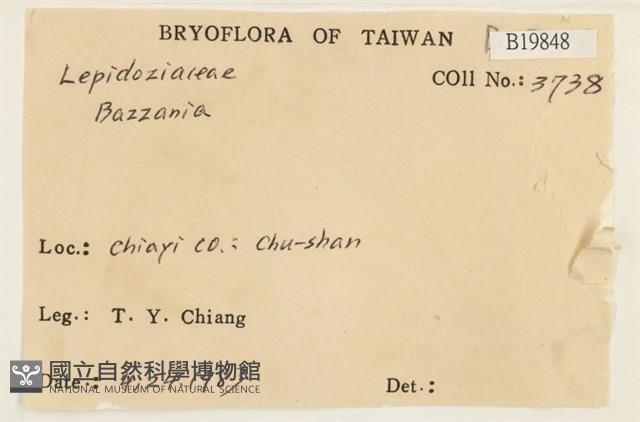 登錄號:B00019848藏品圖，第2張
