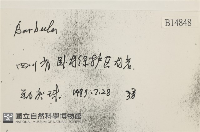 登錄號:B00014848藏品圖，第2張