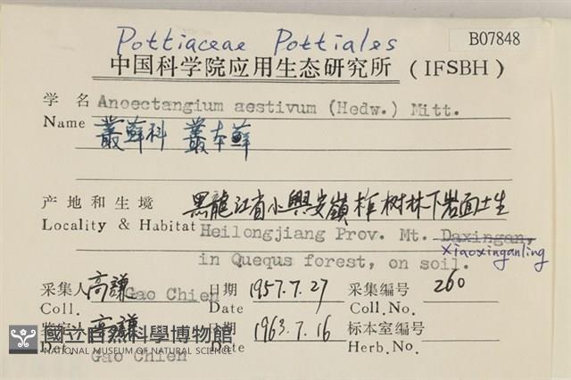 登錄號:B00007848藏品圖，第2張