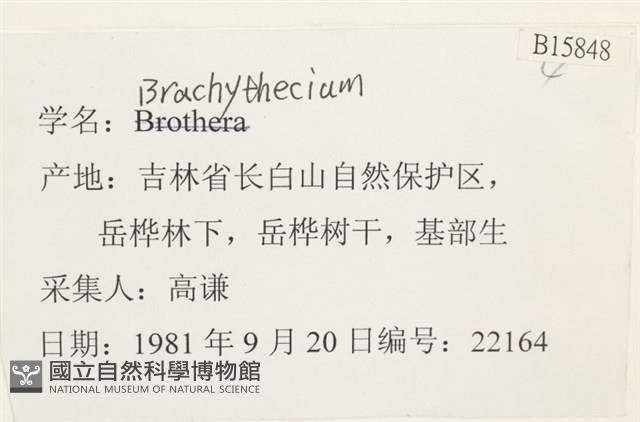 登錄號:B00015848藏品圖，第2張