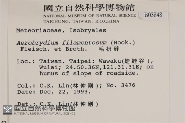 毛扭蘚藏品圖，第2張