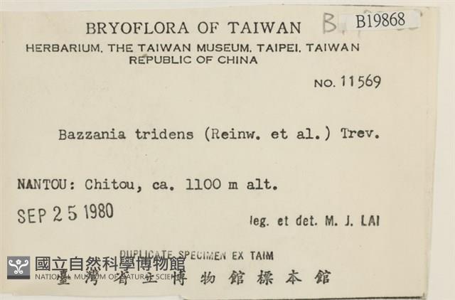 登錄號:B00018968藏品圖，第2張