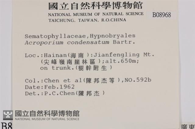 登錄號:B00008968藏品圖，第2張