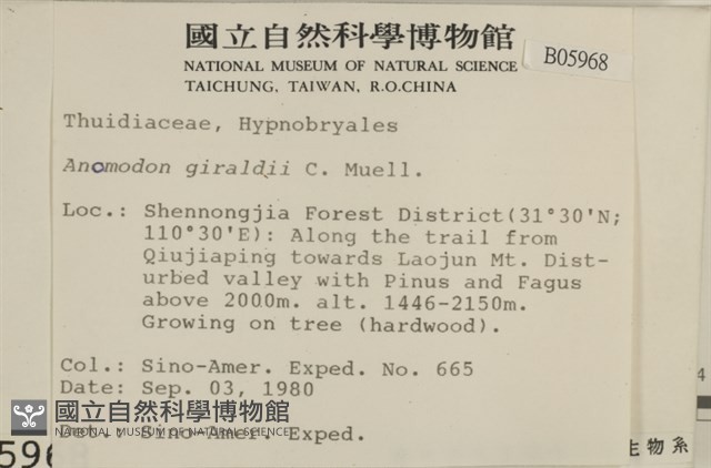 登錄號:B00005968藏品圖，第2張