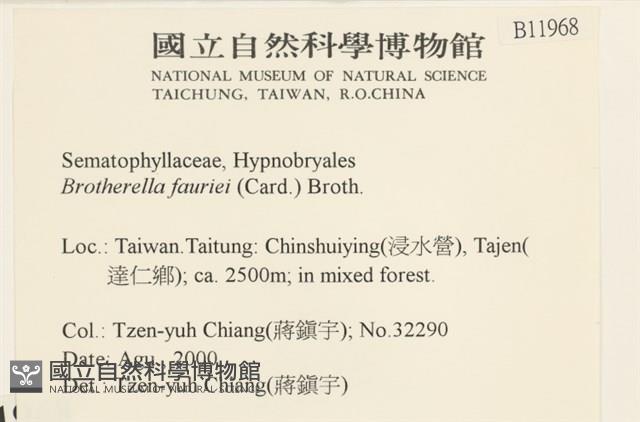 東亞小錦蘚藏品圖，第2張