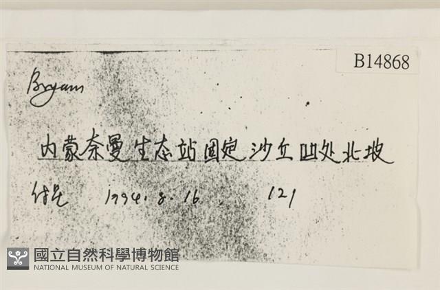 登錄號:B00014868藏品圖，第2張