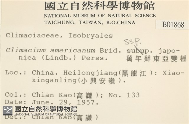 萬年蘚東亞亞種藏品圖，第2張