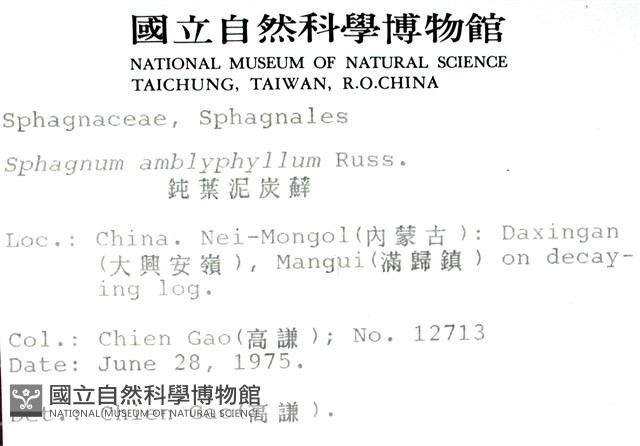 鈍葉泥炭蘚藏品圖，第2張