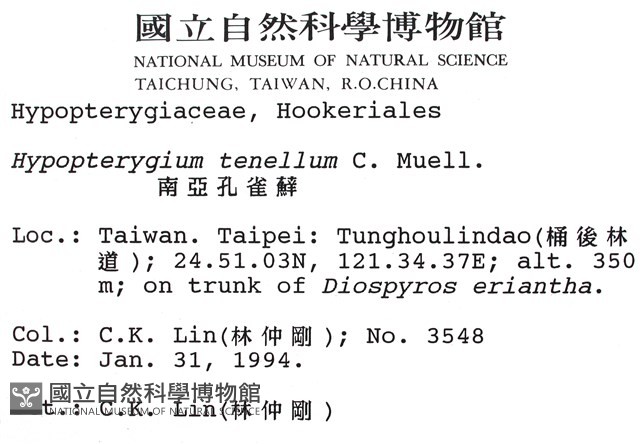 南亞孔雀蘚藏品圖，第2張