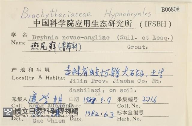 燕尾蘚藏品圖，第2張