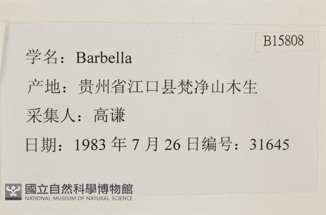 登錄號:B00015808藏品圖，第2張
