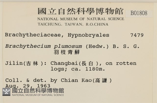 羽枝青蘚藏品圖，第2張