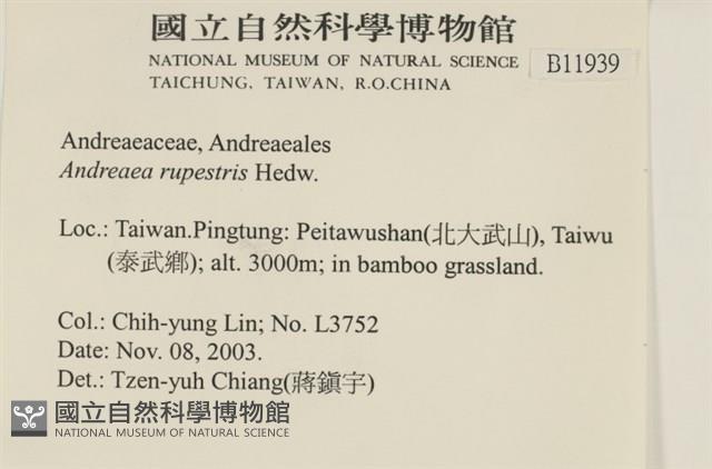 登錄號:B00011939藏品圖，第2張