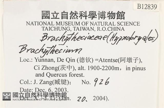 登錄號:B00012839藏品圖，第2張