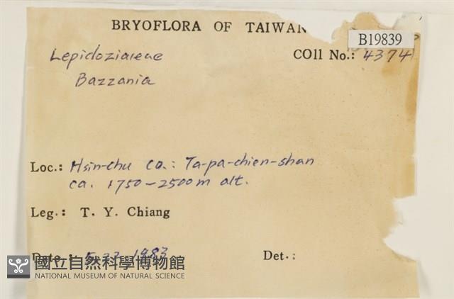 登錄號:B00019839藏品圖，第2張
