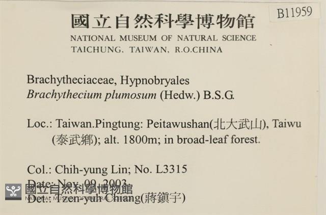 羽枝青蘚藏品圖，第2張