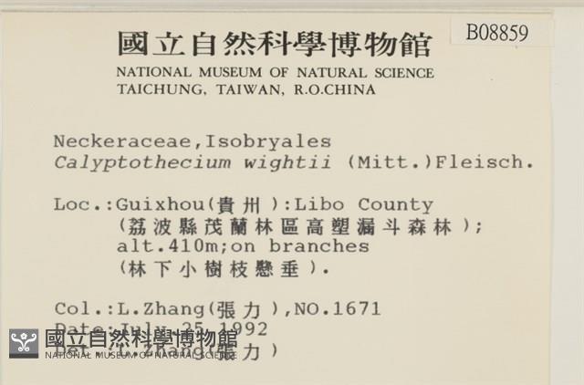 登錄號:B00008859藏品圖，第2張