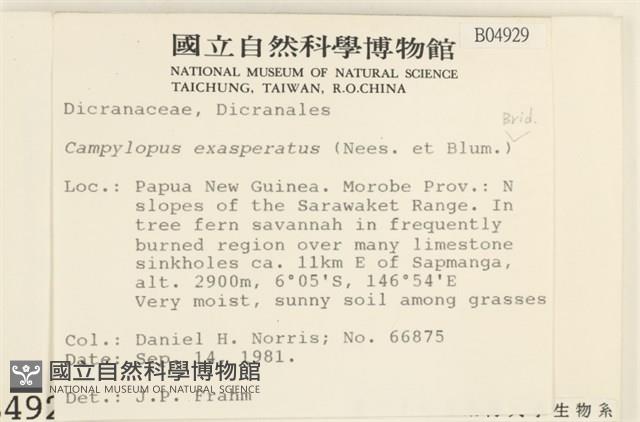 登錄號:B00004929藏品圖，第2張