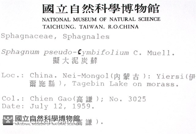 擬大泥炭蘚藏品圖，第2張