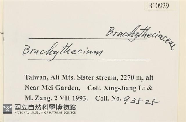 登錄號:B00010929藏品圖，第2張