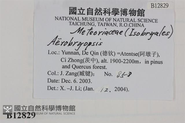 登錄號:B00012829藏品圖，第2張