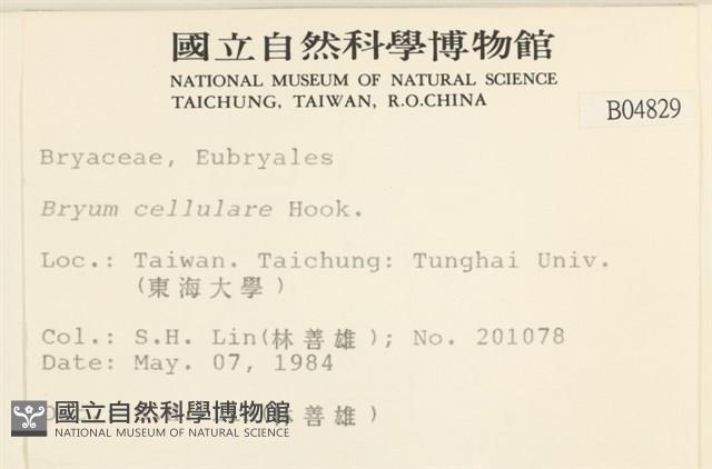 登錄號:B00004829藏品圖，第2張