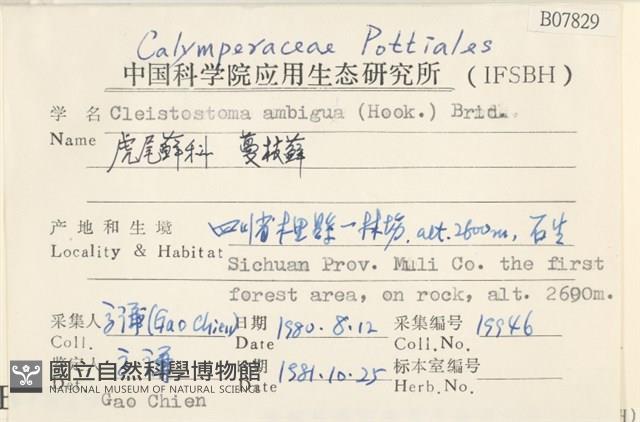 蔓枝蘚藏品圖，第2張